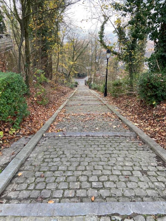 Vakantiewoning De Kassei Geraardsbergen Max 12Personen מראה חיצוני תמונה