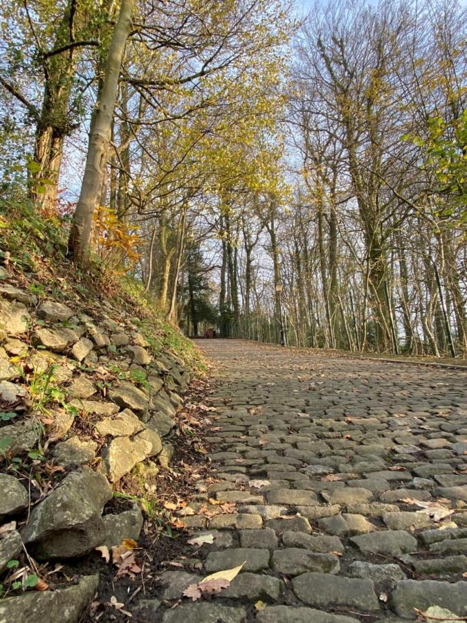 Vakantiewoning De Kassei Geraardsbergen Max 12Personen מראה חיצוני תמונה